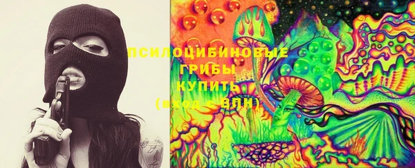 apvp Саяногорск