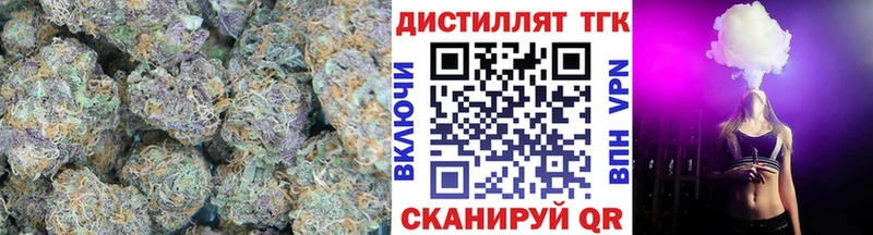 MEGA как зайти  где продают   Княгинино  Дистиллят ТГК концентрат 