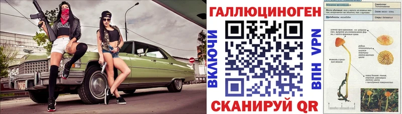 купить наркотик  Княгинино  Псилоцибиновые грибы мицелий 